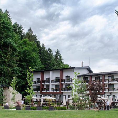 Piatra Pinului Ski & Spa Gura Humorului Luaran gambar