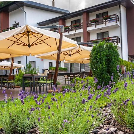 Piatra Pinului Ski & Spa Gura Humorului Luaran gambar